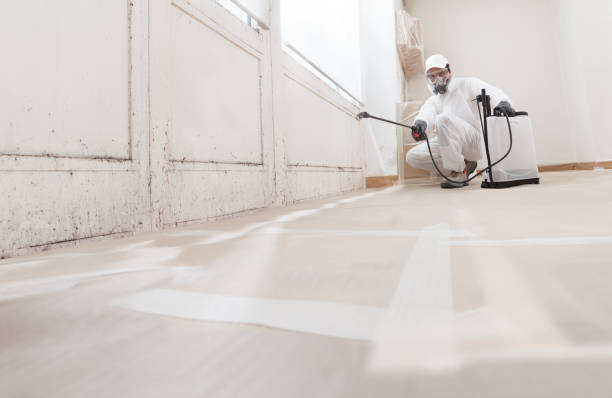 24/7 Emergency Mold Remediation experts in Port Townsend, WA