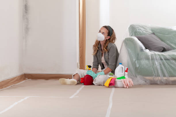 Reliable Mold Remediation contractor in Port Townsend, WA by 24 Hour Mold Removal